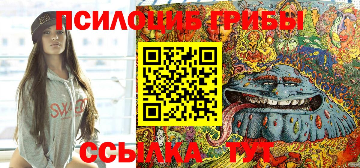 Дербент  Галлюциногенные грибы Psilocybine cubensis  Вход с VPN 
